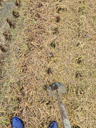 김영진(전남영광)님의 자유주제 · 자유게시판 작성글 사진