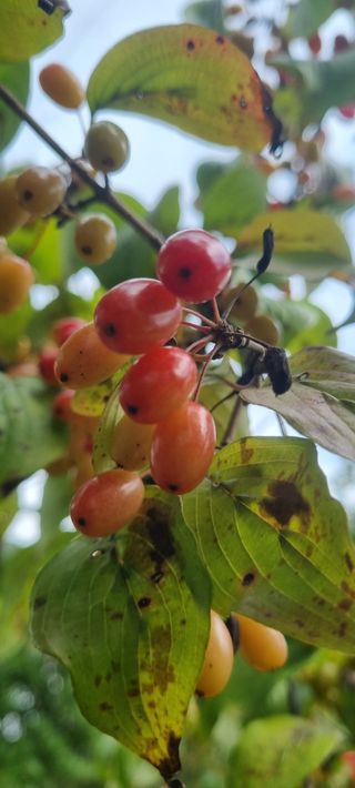 박순덕님의 자유주제 · 자유게시판 작성글 사진