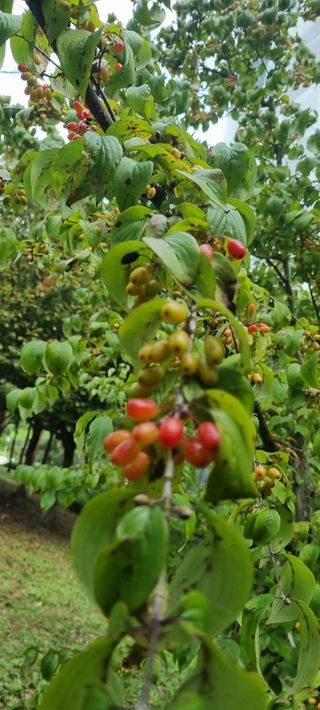 박순덕님의 자유주제 · 자유게시판 작성글 사진