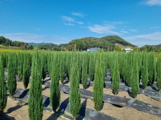 연산나무농장님의 자유주제 · 자유게시판 작성글 사진