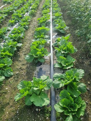 이호님의 자유주제 · 자유게시판 작성글 사진