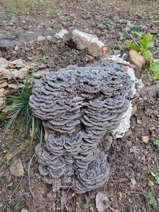 김재철님의 자유주제 · 자유게시판 작성글 사진