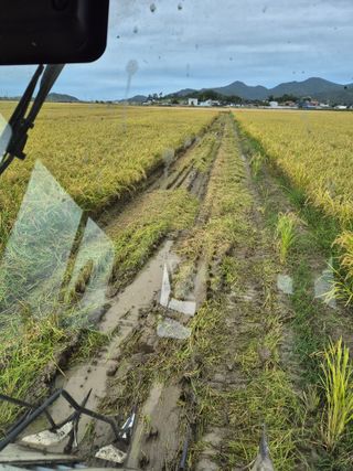 김영진(전남영광)님의 자유주제 · 자유게시판 작성글 사진