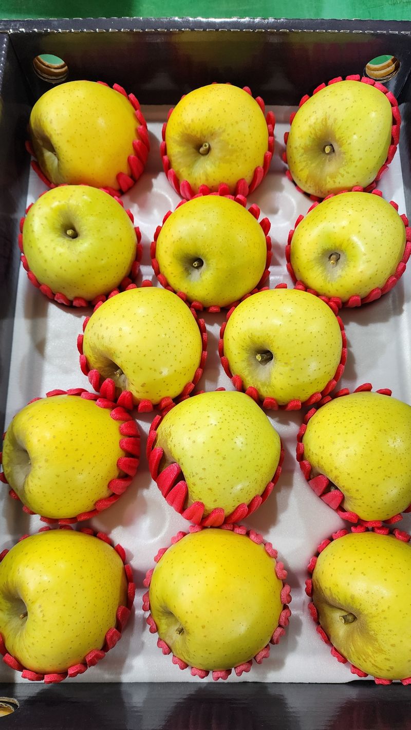 현등농원♡님의 장터 판매 상품 [시나노골드사과 5키로] 첨부 사진