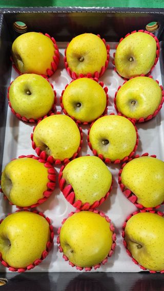 현등농원♡님의 작성글 사진