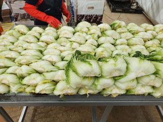 음두임님의 작성글 사진