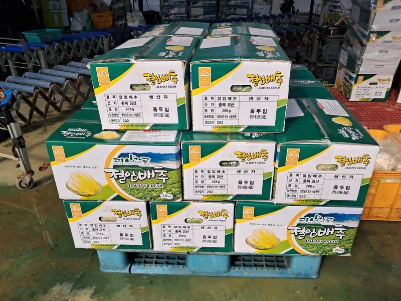 음두임님의 장터 판매 상품 [미니절임배추] 첨부 사진