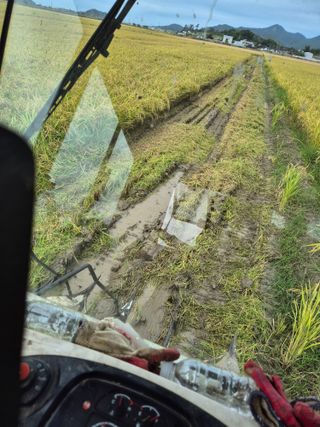 김영진(전남영광)님의 자유주제 · 자유게시판 작성글 사진