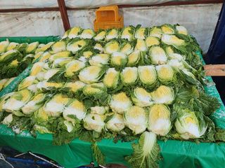 음두임님의 작성글 사진