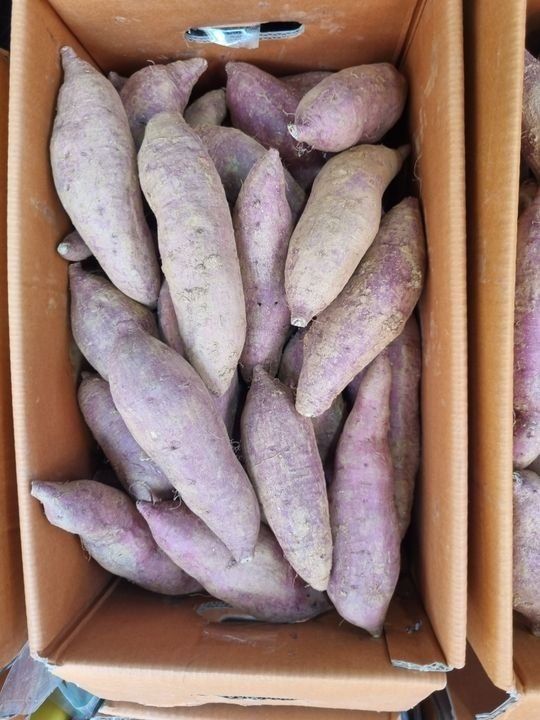 소종섭님의 장터 판매 상품 [당뇨 고혈압에좋은 밥맛최고 황금환희쌀] 첨부 사진