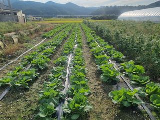 이호님의 자유주제 · 자유게시판 작성글 사진