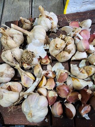 오여사님의 자유주제 · 자유게시판 작성글 사진