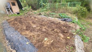 장석오님의 자유주제 · 자유게시판 작성글 사진