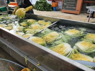 음두임님의 작성글 사진