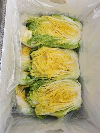 음두임님의 작성글 사진