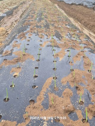 정택님의 자유주제 · 자유게시판 작성글 사진