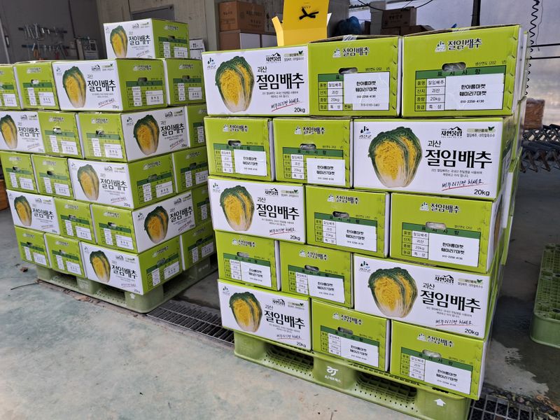 음두임님의 장터 판매 상품 [괴산초록농장 절임배추 예약판매] 첨부 사진