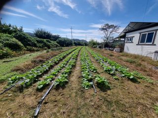 이호님의 자유주제 · 자유게시판 작성글 사진