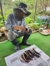 팜모닝 자유주제·자유게시판 게시글 이미지