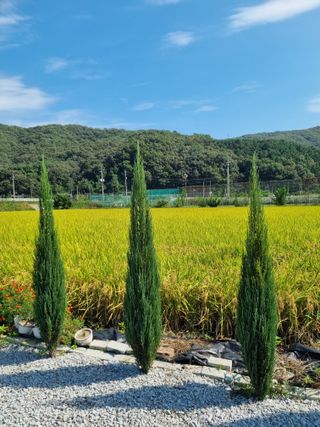 연산나무농장님의 자유주제 · 자유게시판 작성글 사진