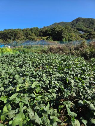 무형교회목사 안영진님의 작성글 사진