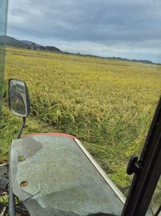 김영진(전남영광)님의 자유주제 · 자유게시판 작성글 사진