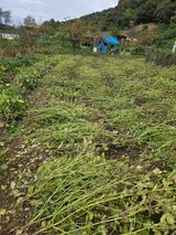 팜모닝 자유주제·자유게시판 게시글 이미지