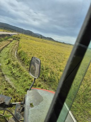 김영진(전남영광)님의 자유주제 · 자유게시판 작성글 사진