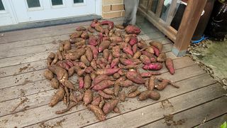 장석오님의 자유주제 · 자유게시판 작성글 사진