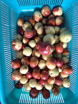 무형교회목사 안영진님의 자유주제 · 자유게시판 작성글 사진