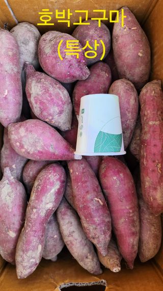 금제섭님의 작성글 사진