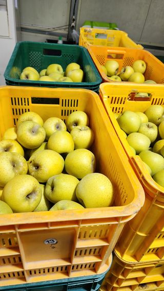 현등농원♡님의 작성글 사진