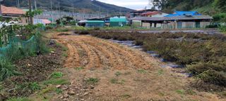 땅땅님의 자유주제 · 자유게시판 작성글 사진