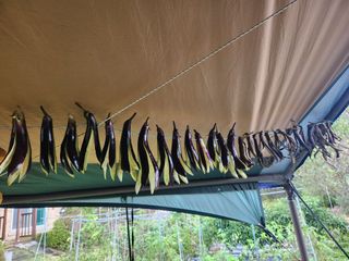 장석오님의 자유주제 · 자유게시판 작성글 사진