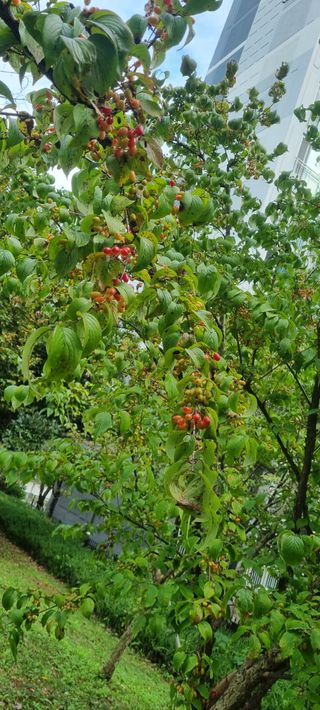 박순덕님의 자유주제 · 자유게시판 작성글 사진