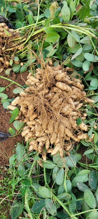 살구15128님의 작성글 사진