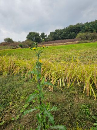 양철주님의 자유주제 · 자유게시판 작성글 사진