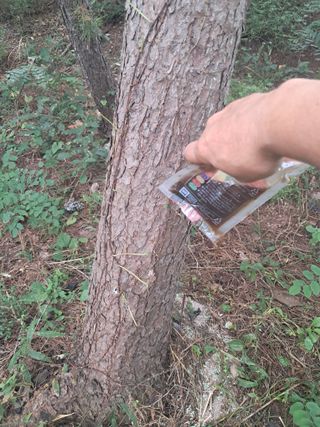 시금치6781님의 자유주제 · 자유게시판 작성글 사진