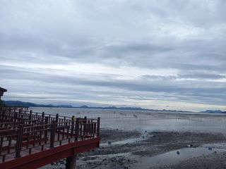 연향님의 자유주제 · 자유게시판 작성글 사진