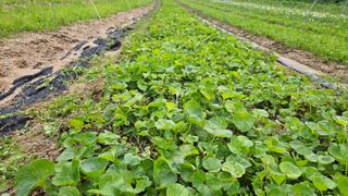 조병대님의 작성글 사진