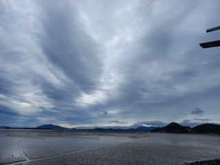 연향님의 자유주제 · 자유게시판 작성글 사진