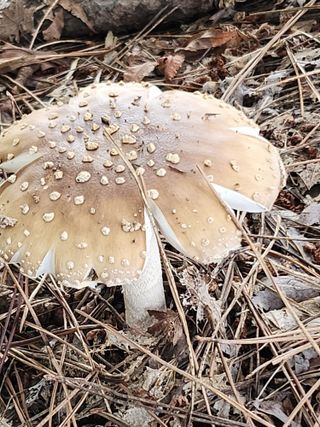 석헌님의 자유주제 · 자유게시판 작성글 사진
