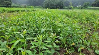 조병대님의 작성글 사진