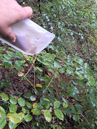 시금치6781님의 자유주제 · 자유게시판 작성글 사진