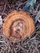 팜모닝 자유주제·자유게시판 게시글 이미지