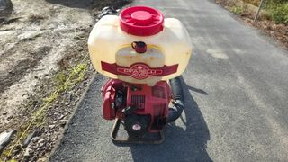 산딸기성관님의 작성글 사진