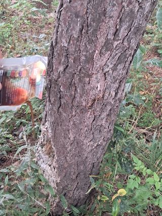 시금치6781님의 자유주제 · 자유게시판 작성글 사진