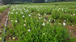 조병대님의 작성글 사진