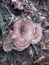 팜모닝 자유주제·자유게시판 게시글 이미지