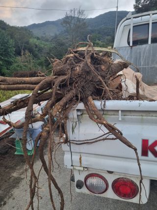 이호성님의 자유주제 · 자유게시판 작성글 사진